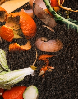 Composting of Food Waste